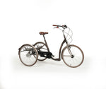 VINTAGE - Tricycle adulte au look vintage 🪪